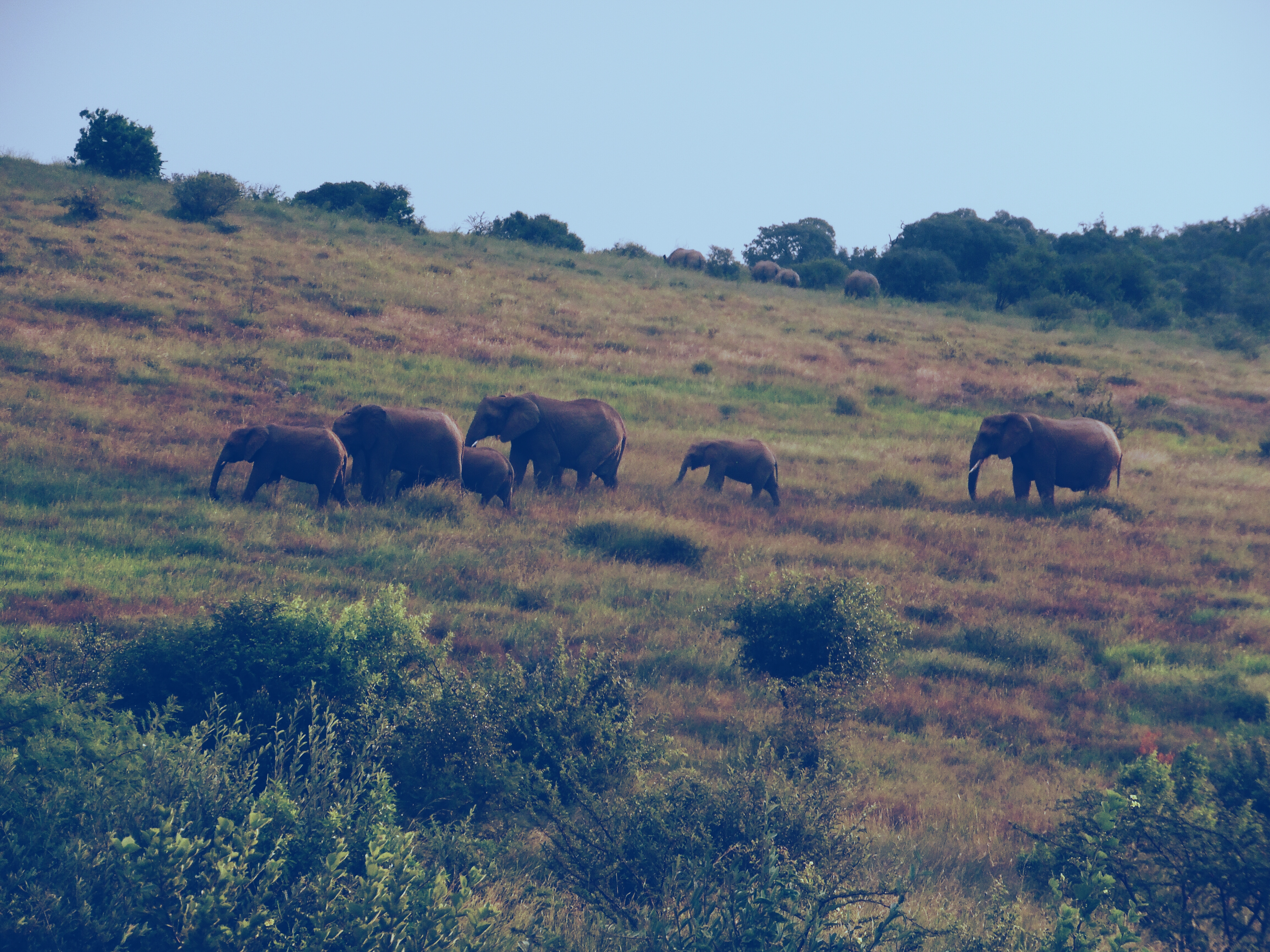 Processed with VSCO with hb1 preset