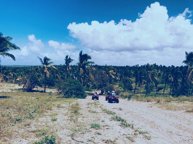 Processed with VSCO with c1 preset