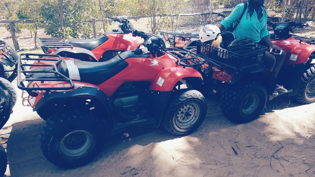 Processed with VSCO with hb2 preset