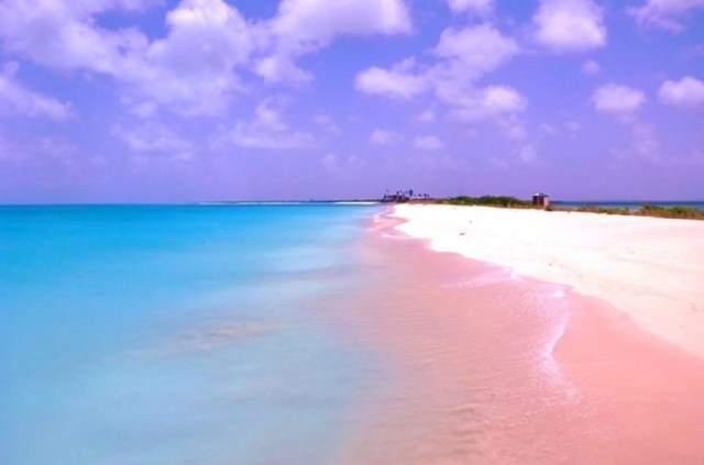 Pink-Beach-of-Harbor-Island-–-Bahamas