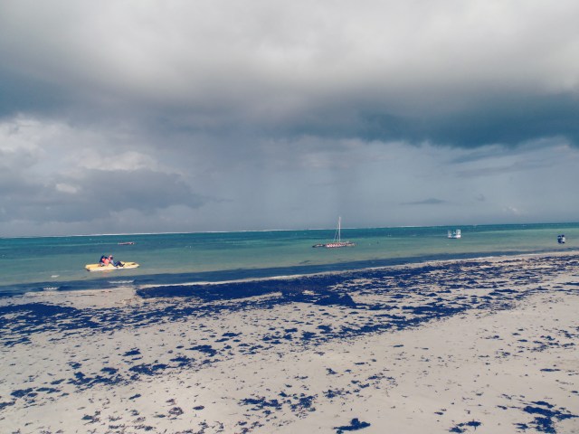 Processed with VSCO with hb1 preset